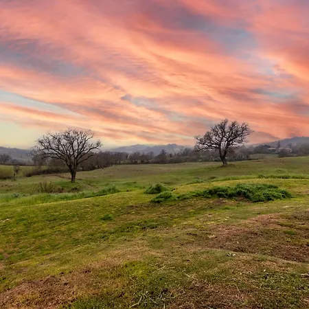 Meriggio 팜스테이