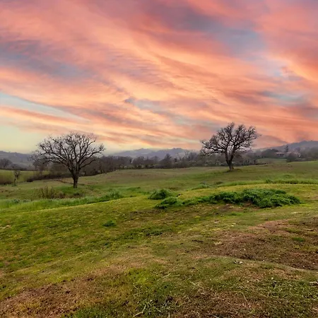 Meriggio Alojamento de Turismo Rural *